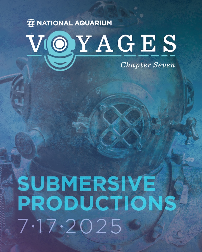 National Aquarium - Voyages Chapter Seven: Submersive Productions